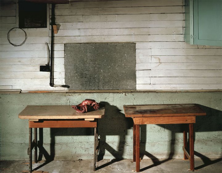 jeff wall jeff wall